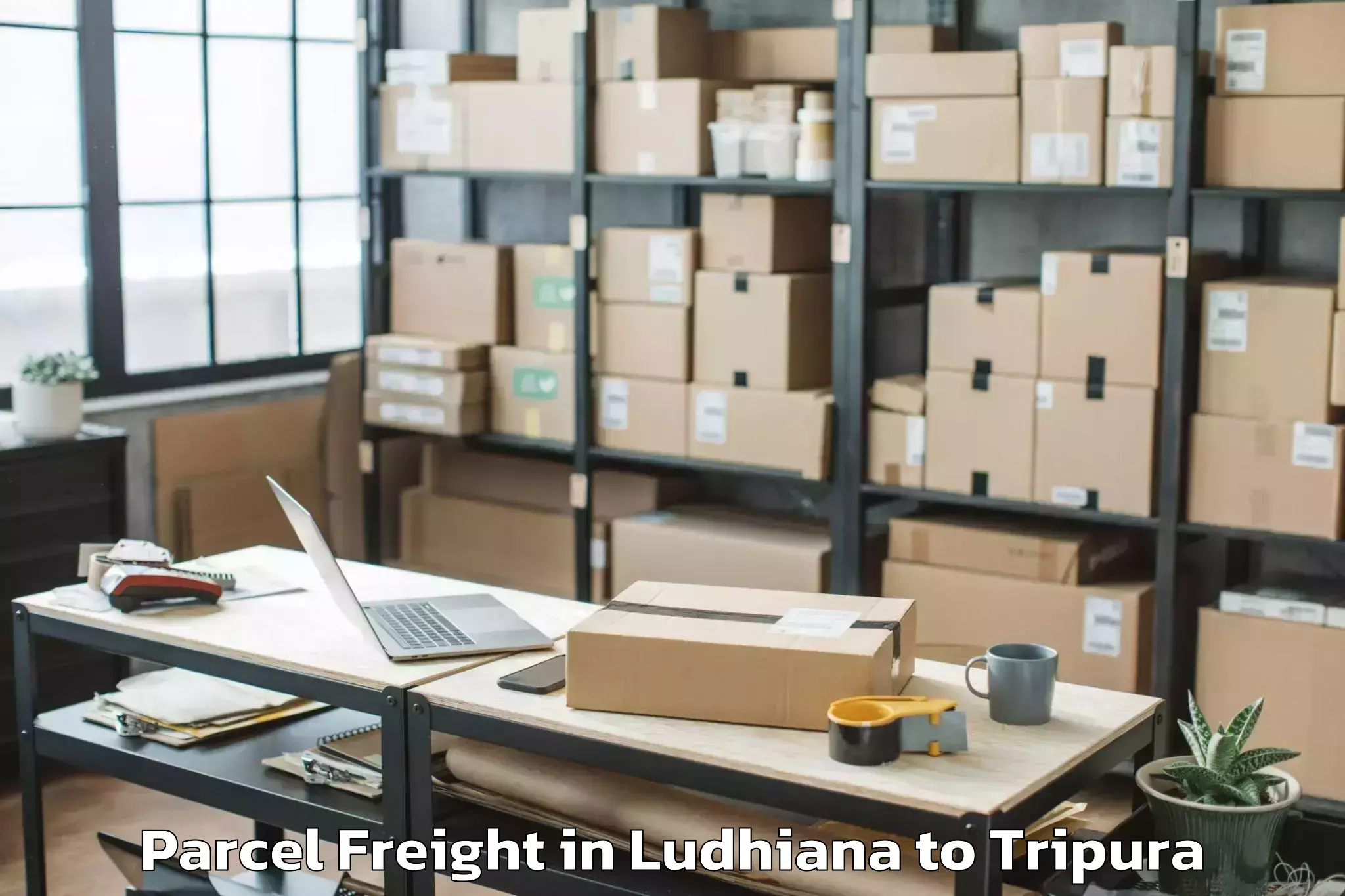 Easy Ludhiana to Jampuijala Parcel Freight Booking